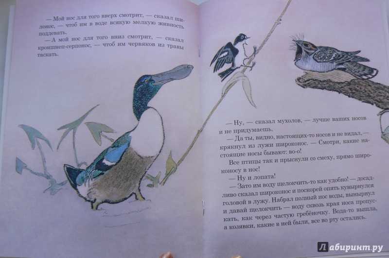 Чей нос лучше: краткое содержание для читательского дневника