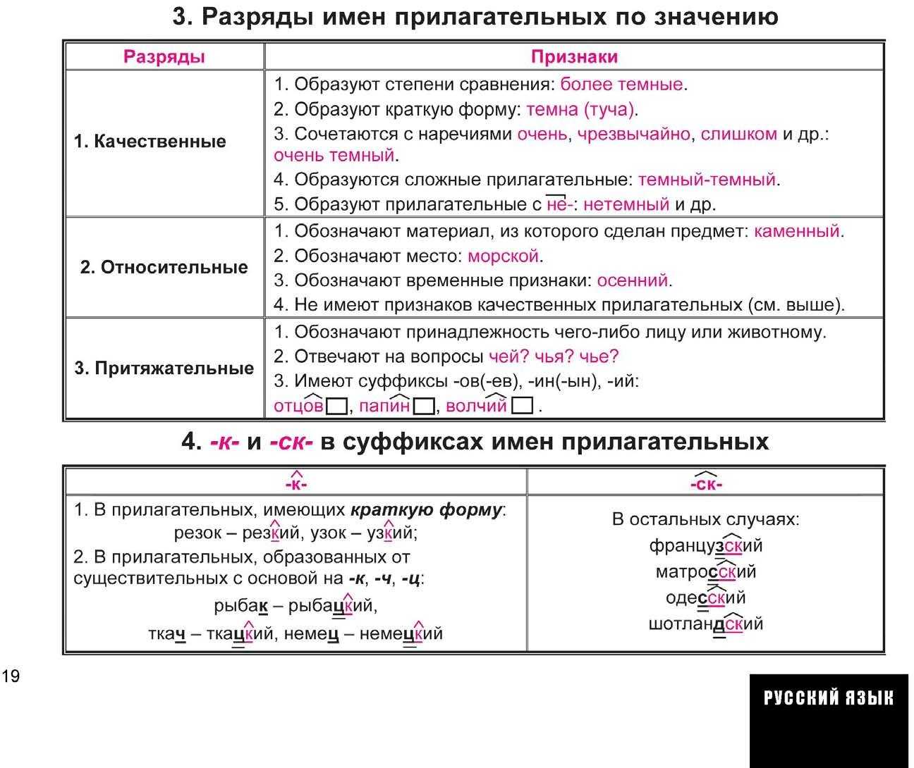 Имя прилагательное в русском языке: что это, как определить