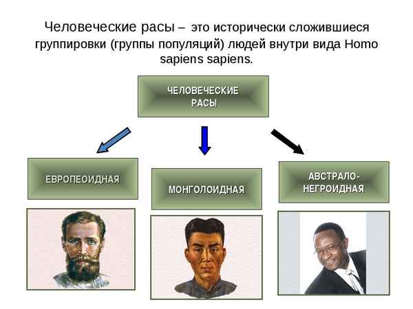 Биология пасечник учебник §8 | 7 класс онлайн