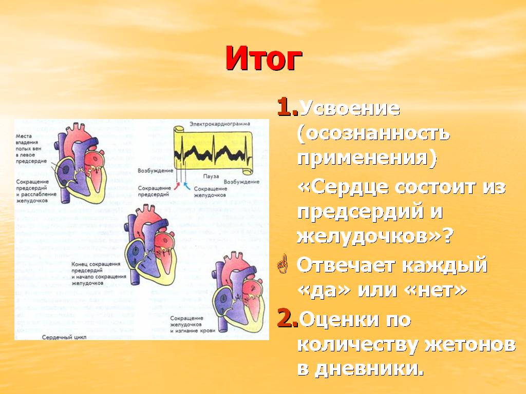 Гдз и решебник биология 8 класс пасечник, швецов - рабочая тетрадь