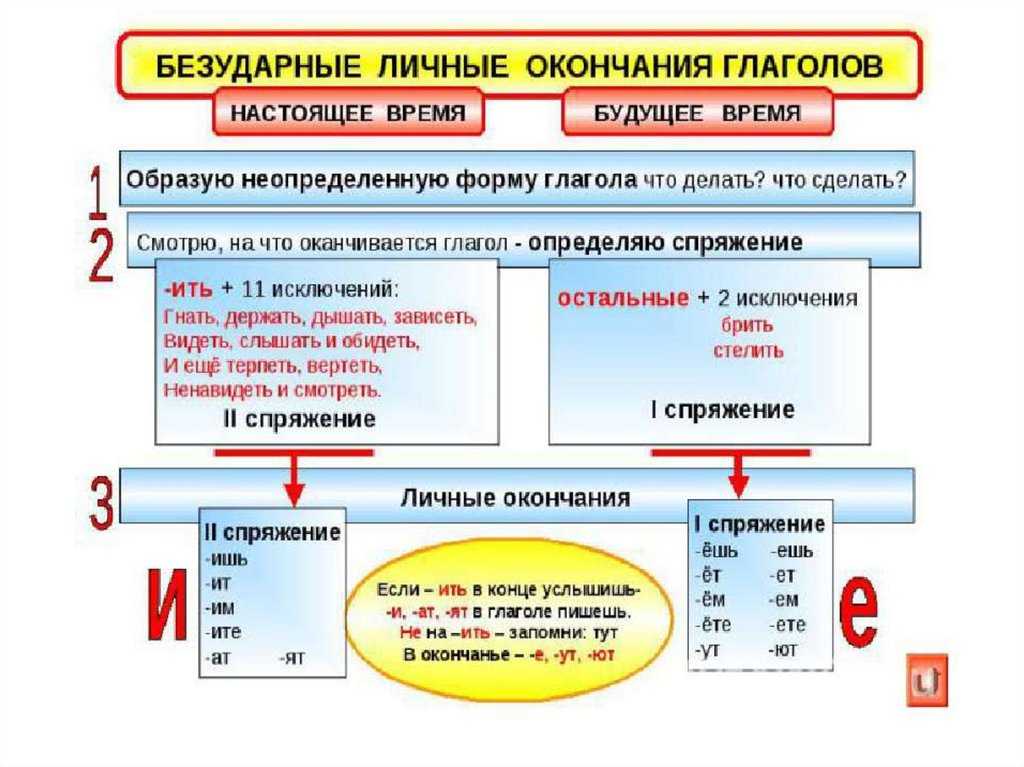 Читай:  основные правила русского языка