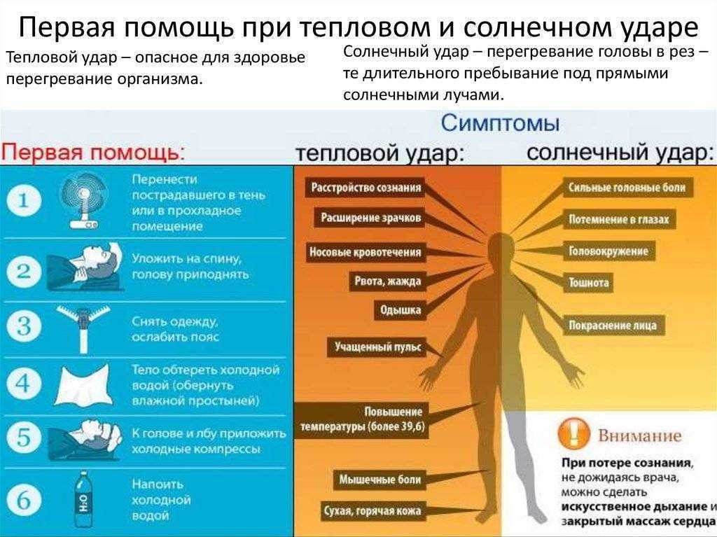 «солнечный удар» краткое содержание рассказа бунина – читать пересказ онлайн