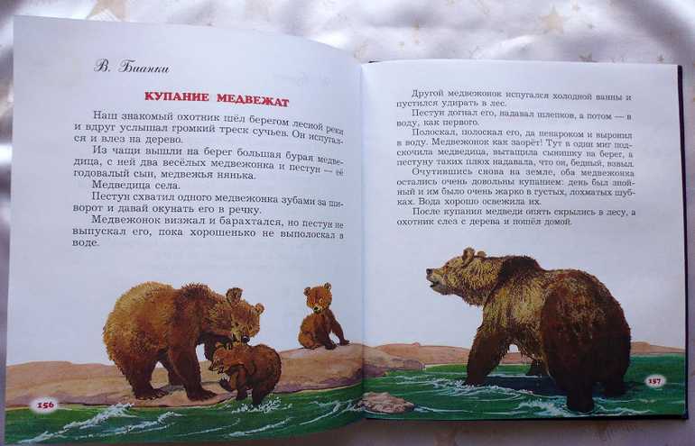 Конспект занятия по развитию речи
в старшей группе
«пересказ рассказа в. бианки «купание медвежат» | конспекты занятий, нод  | педагогическое мастерство | бесплатные вебинары, публикации педагогов, учителей и воспитателей