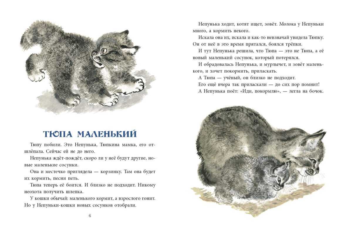 Читательский дневник 1-2 класс. как заполнить читательский дневник 2 класс образец
