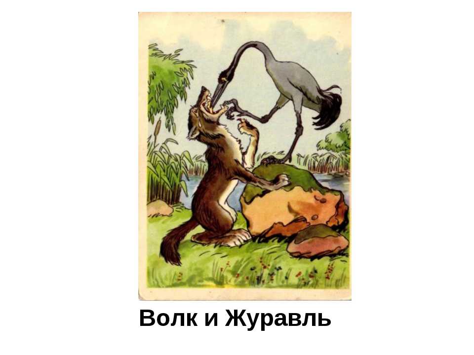 Сказка иван-царевич и серый волк, читательский дневник