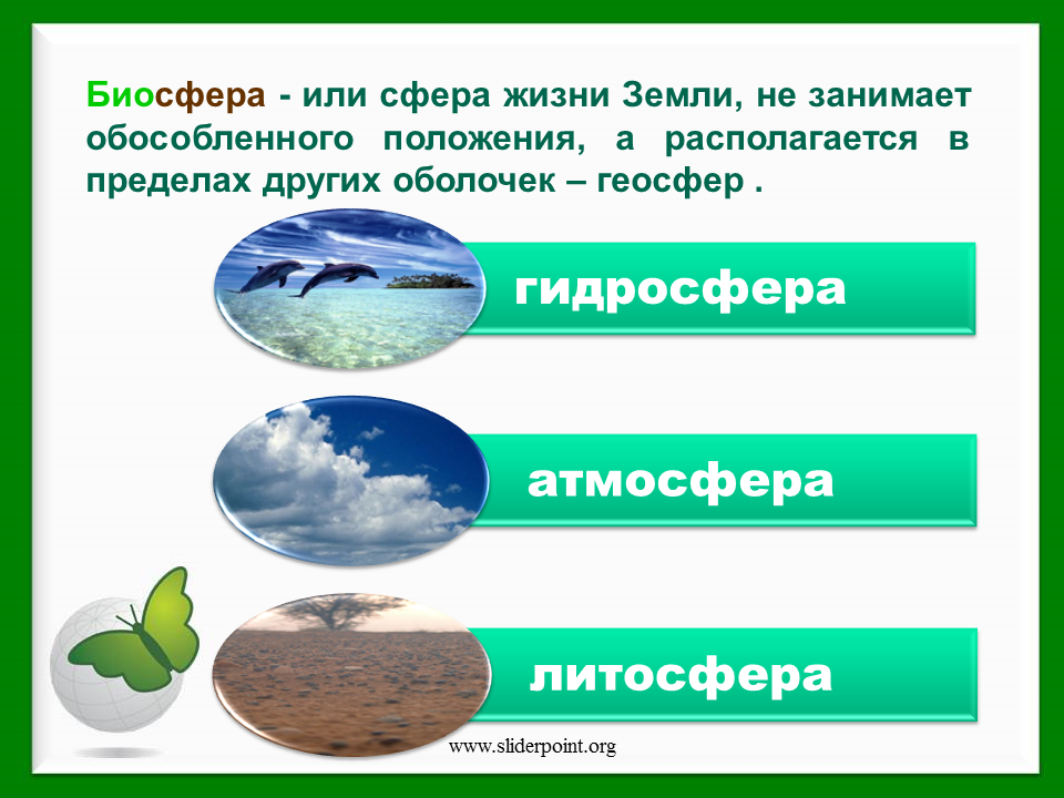 Биосфера - структура, границы, свойства, функции, строение