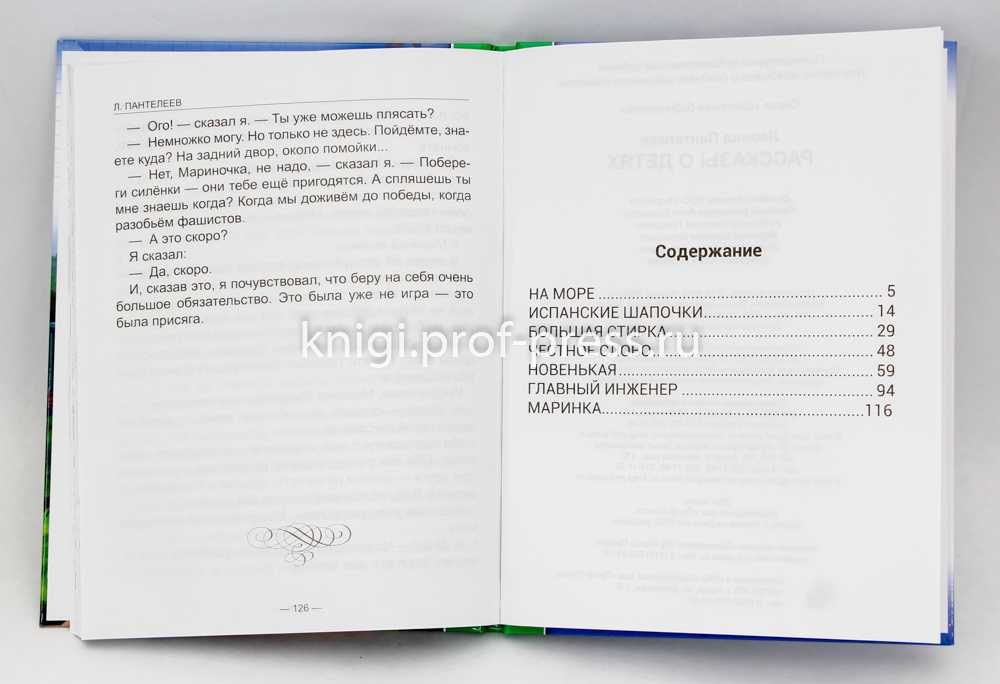 Роман «ленька пантелеев» для читательского дневника: описание героев, краткий пересказ, основная мысль