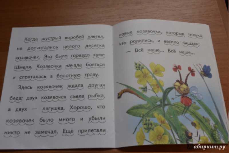Краткое содержание цикла «алёнушкины сказки» мамина-сибиряка