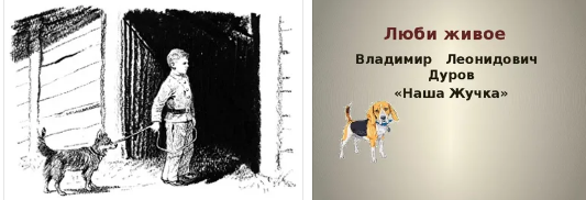 Успенский «меховой интернат» читательский дневник: краткое содержание, главные герои, главная мысль, чему учит, отзыв.