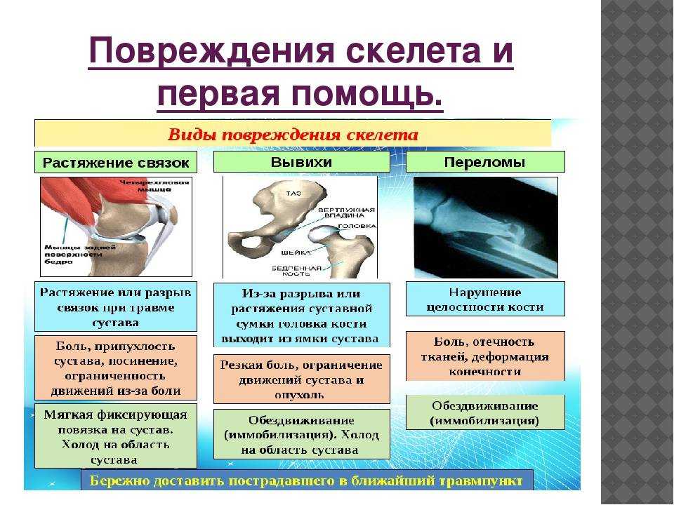 Гдз биология 8 класс пасечник, каменский, швецов - учебник «просвещение»