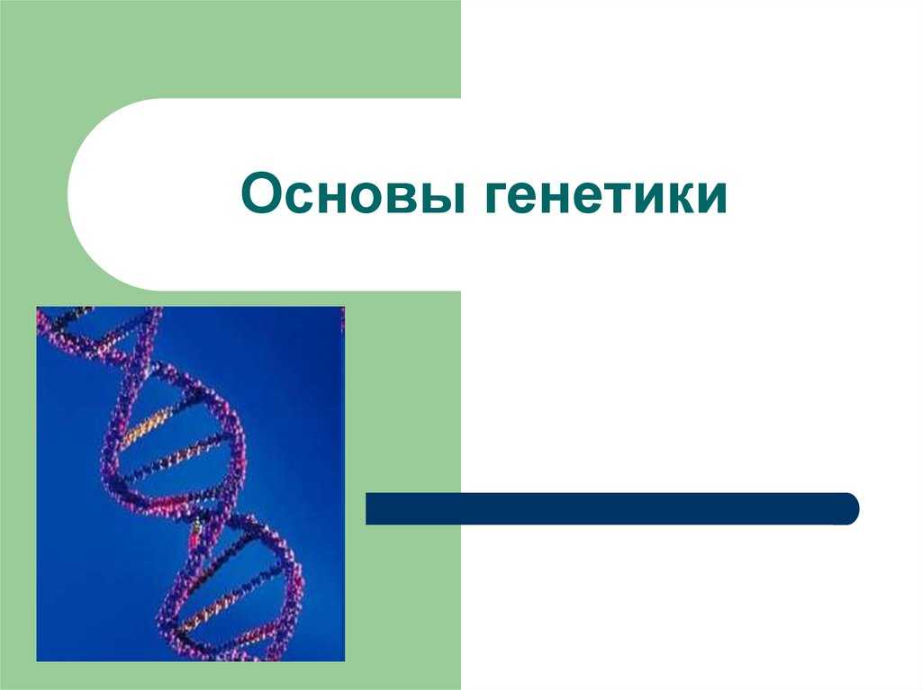 Закономерности наследования признаков