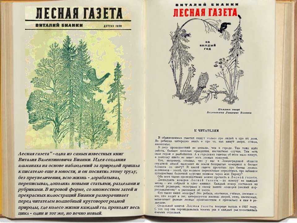 Краткое содержание бианки лесные домишки для читательского дневника, читать краткий пересказ онлайн