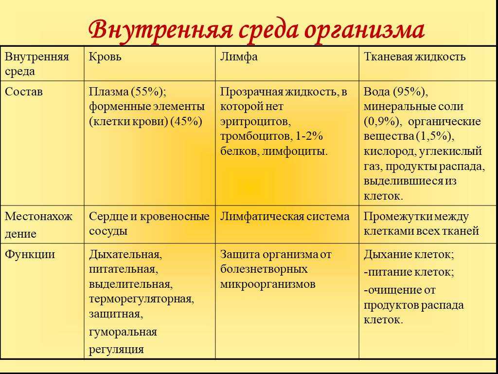 Гдз по биологии 8 класс пасечник, суматохин, учебник просвещение 2023