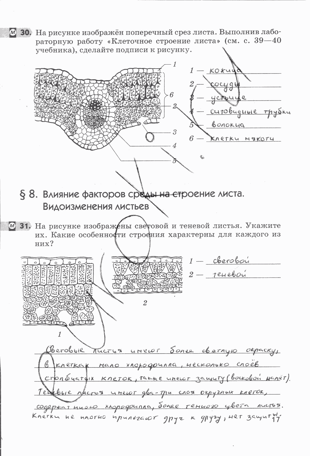Биология пасечник учебник §2 | частная школа. 6 класс