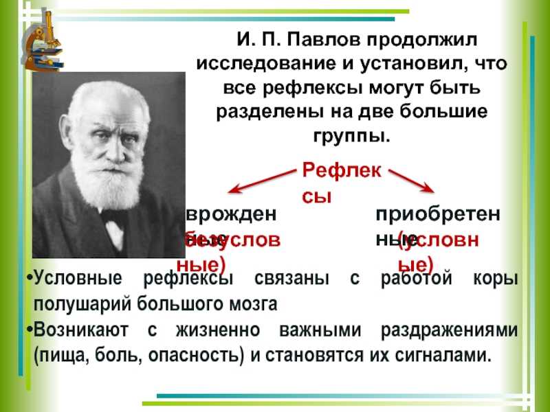 Гдз по биологии 8 класс рабочая тетрадь пасечник  линия жизни