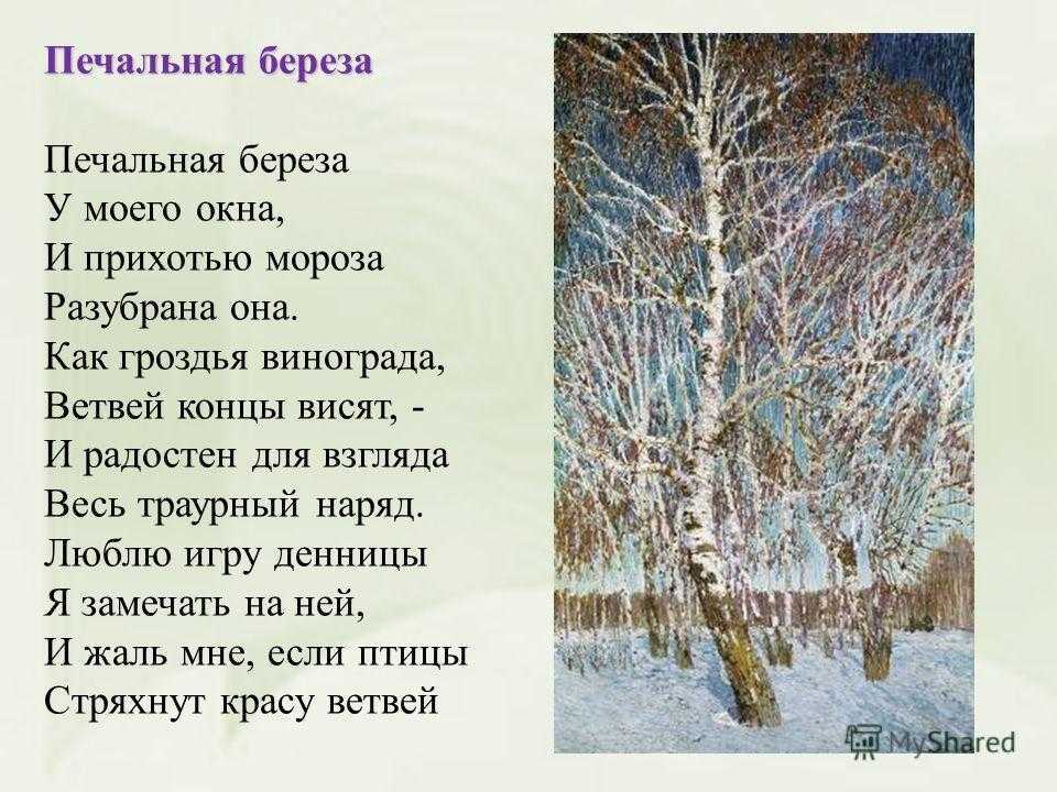Афанасий фет - печальная берёза: читать стих, текст стихотворения полностью - классика на рустих