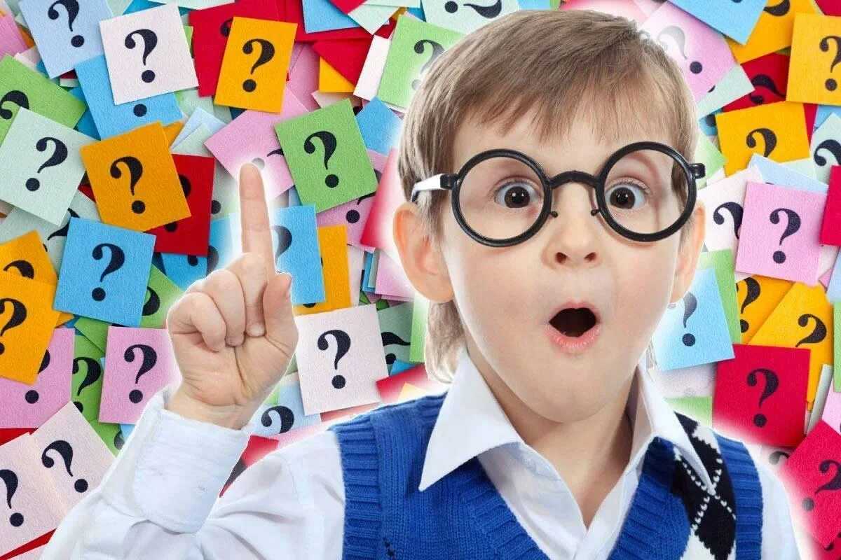 Чей нос лучше?