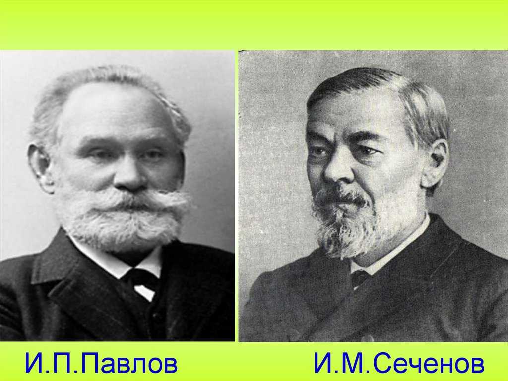 Гдз по биологии 8 класс учебник пасечник, суматохин, гапонюк