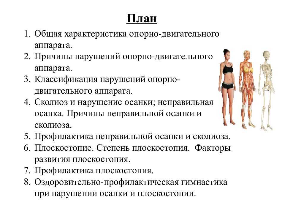 § 12. нарушения опорно-двигательной системы. травматизм