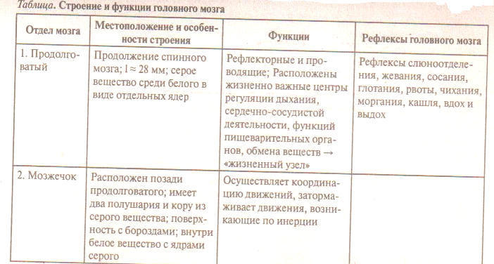 Гдз по биологии 8 класс рабочая тетрадь пасечник  линия жизни