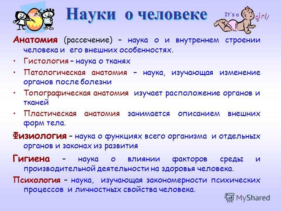 Гдз биология 8 класс пасечник, швецов - рабочая тетрадь
