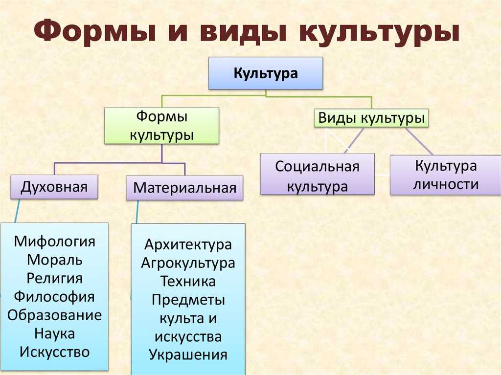 Культура: понятие, формы, признаки, функции, материальная, духовная