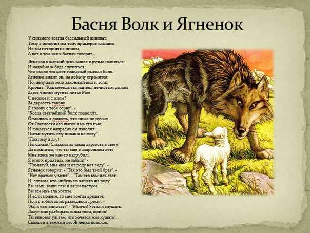 Волк и ягненок - басня крыслова, анализ басни, образы и герои
