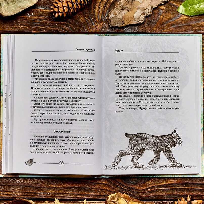 Чей нос лучше: краткое содержание для читательского дневника
