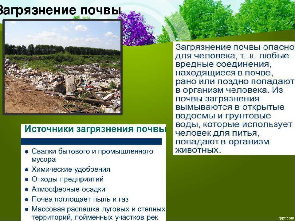 Сообщение всероссийское общество охраны природы доклад (описание для детей)
