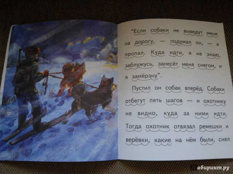 Житков б. «что я видел» читательский дневник, краткое содержание