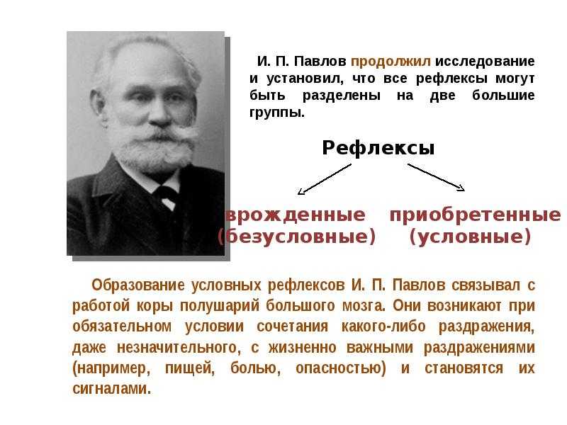 Биология пасечник учебник §11