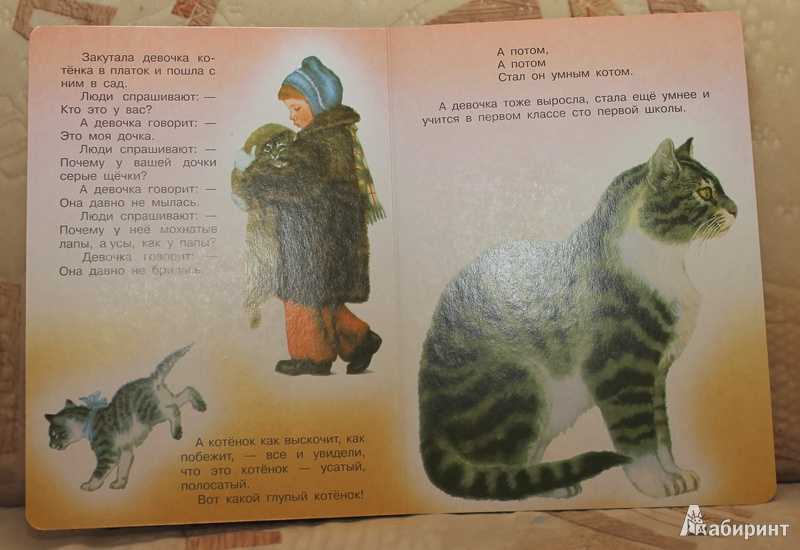 "усатый-полосатый" с. маршака - история стихотворения и одно из ранних изданий. усатый полосатый