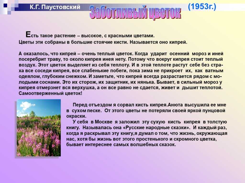 Разбор сказки паустовского «стальное колечко» для читательского дневника: характеристика героев, сюжет