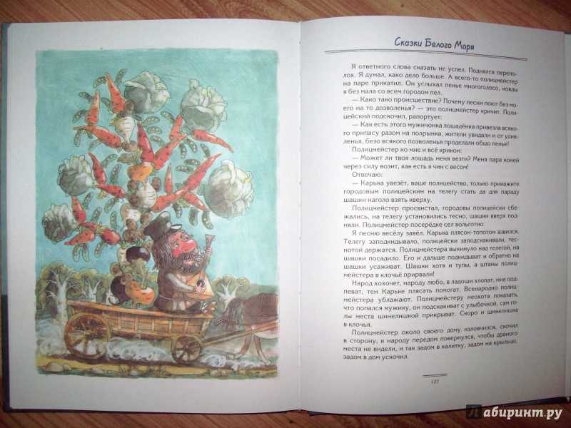 Шергин «миша ласкин»: главная мысль, тема, идея, план