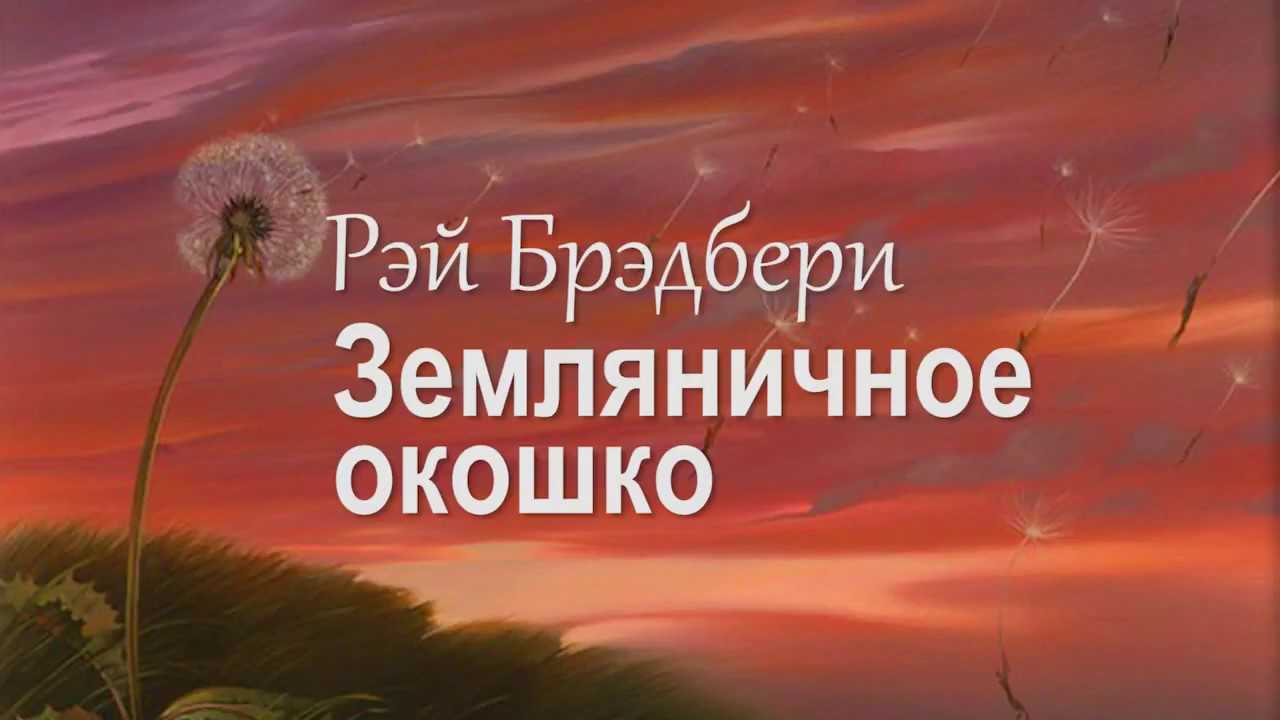 Земляничная кошка краткое содержание » собачки и кошечки