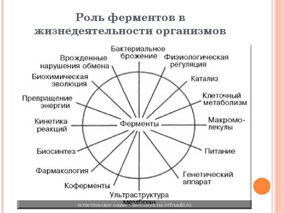 Биология пасечник учебник §8 | 7 класс онлайн