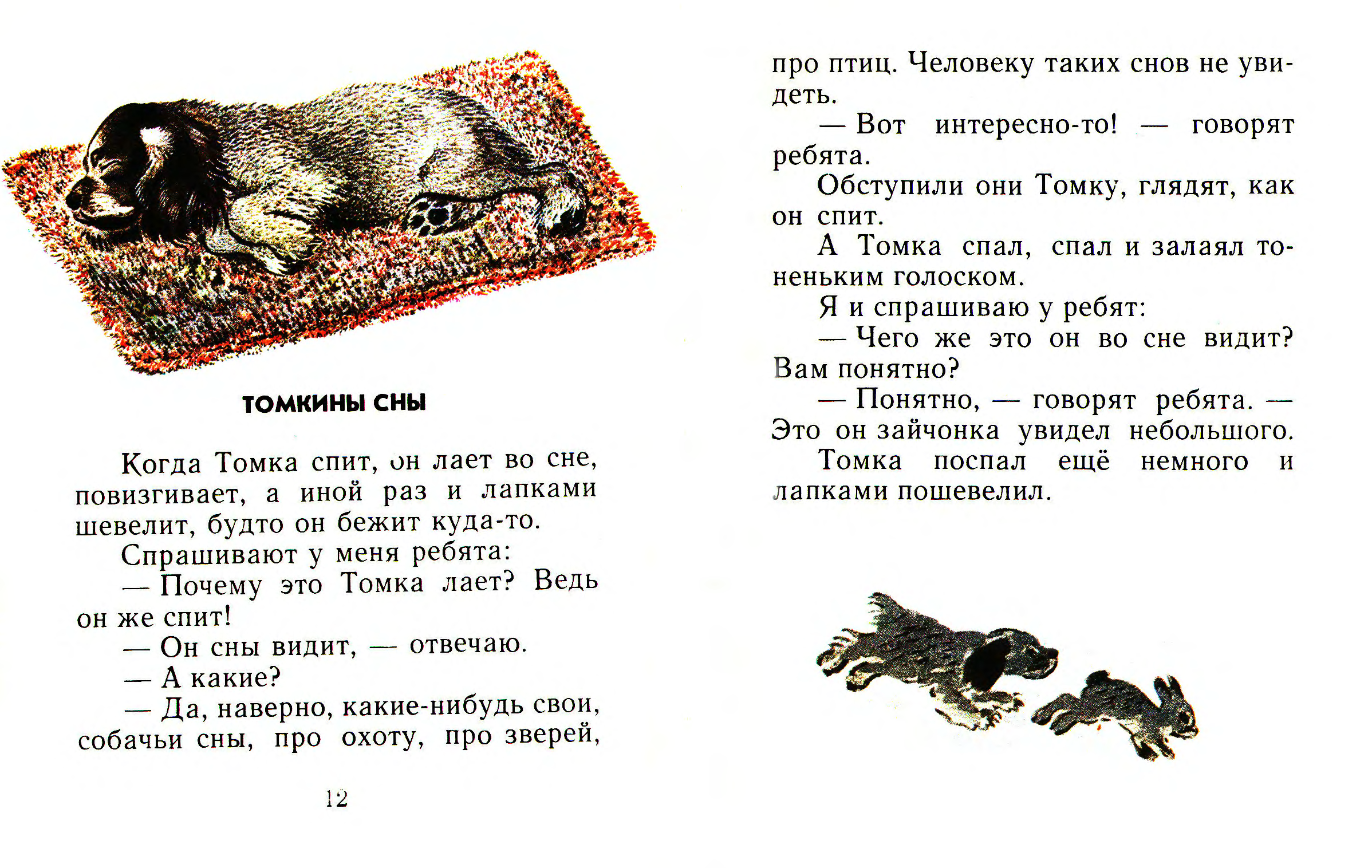 Чарушин лесной котенок краткое содержание для читательского дневника