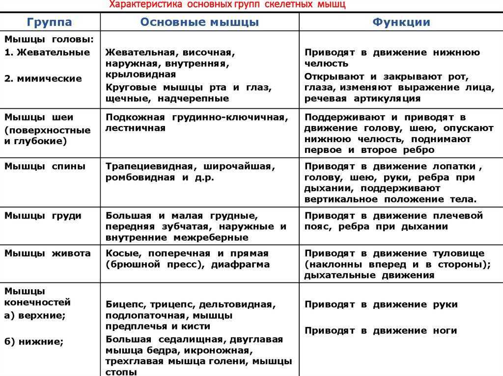 Гдз по биологии 8 класс рабочая тетрадь пасечник