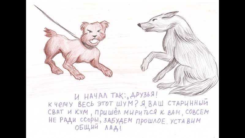Волк и ягненок - басня крыслова, анализ басни, образы и герои