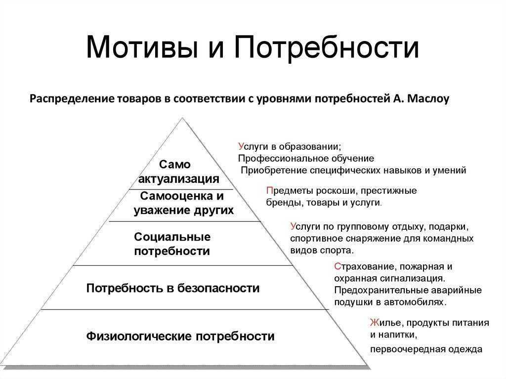 Потребности и интересы.
