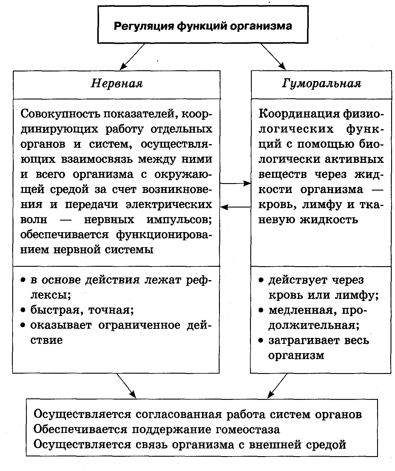 Клетка ix, организм человека / хабр