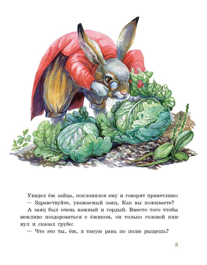 Братья гримм. заяц и ёж презентация