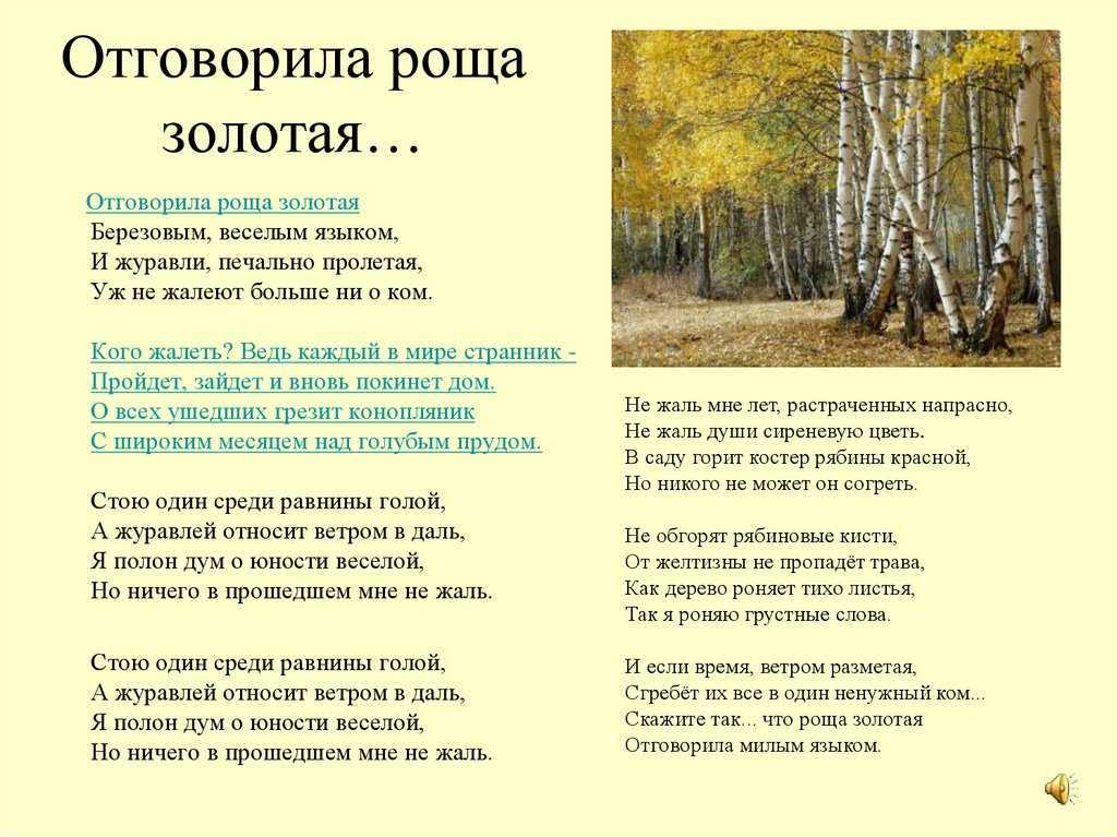 Анализ стихотворения «отговорила роща золотая»: история написания, композиция и жанр, символы и образы