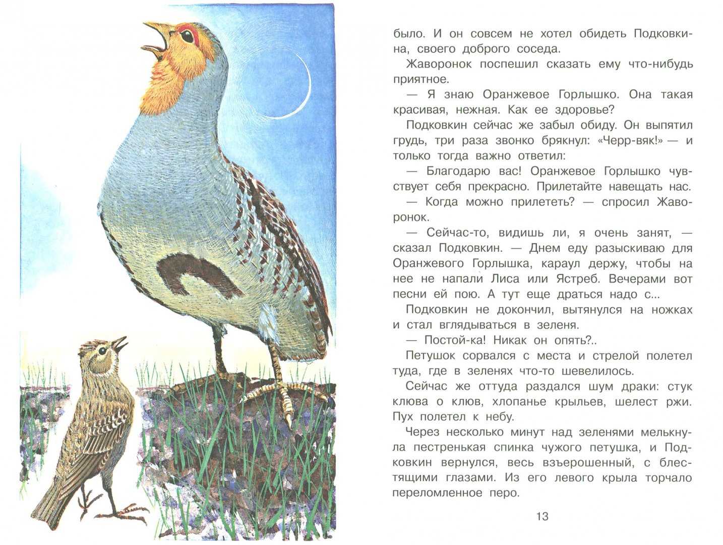 Красная горка — читать с картинками — бианки виталий ✍ библиотека школьника > электронный ресурс