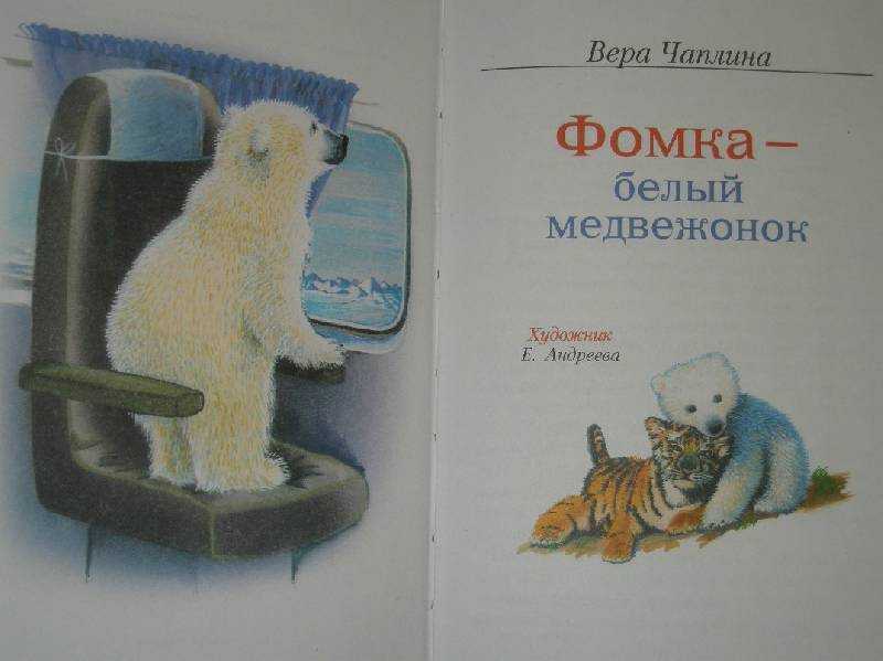 «мишкина каша» краткое содержание для читательского дневника по сказке носова (2 класс) – пословицы, что понравилось, главная мысль