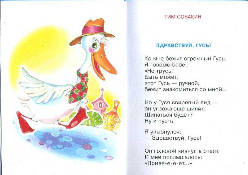 Про что рассказ томкины сны