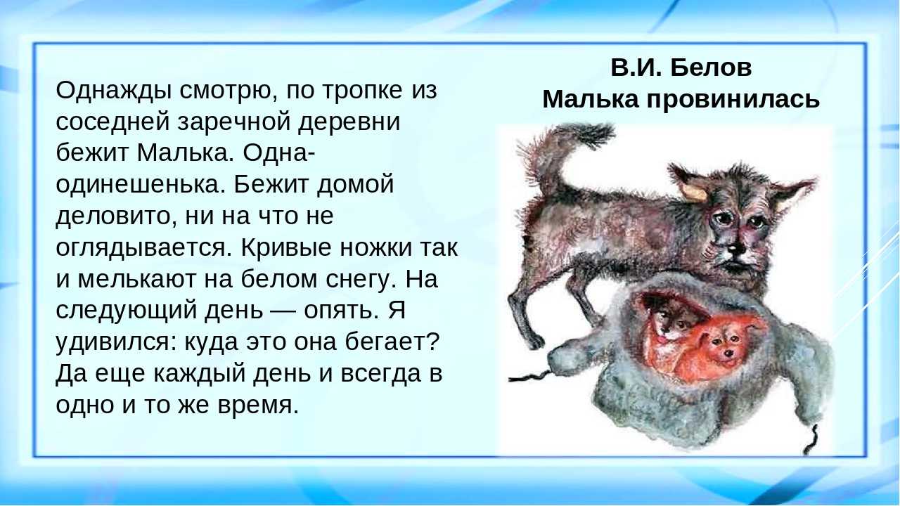 Мальк провинилась в белова: главная мысль рассказа