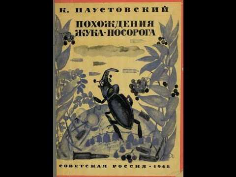 Как заполнить читательский дневник с помощью «похождений жука-носорога» паустовского