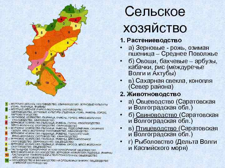 Поволжский экономический район характеристики, население, состав, промышленность