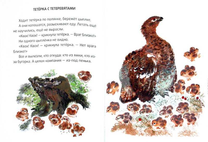 Читательский дневник 1-2 класс. как заполнить читательский дневник 2 класс образец